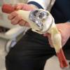 A doctor holds a model of a tri-compartmental total knee replacement. (M. Spencer Green / The Associated Press files)