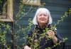 RUTH BONNEVILLE / WINNIPEG FREE PRESS FILES
                                Erna Buffie, a member of advocacy group Trees Please Winnipeg, said the public pledge would support decisive, prompt action on Winnipeg’s upcoming municipal green space master plan and biodiversity policy.