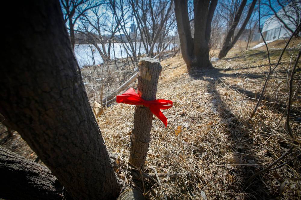 JOHN WOODS / WINNIPEG FREE PRESS
A ribbon marks the area where human remains were found in a wooded area alongside the Red River, near Curtis Street and Higgins Avenue, on Saturday afternoon.