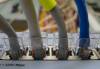 Despite pronouncements about efforts to increase access to high-speed internet in rural and remote Manitoba communities, little progress has been made. (Adrian Wyld / The Canadian Press files)
