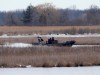 A police boat searches the area in Akwesasne, Que., Friday, March 31, 2023. Akwesasne Mohawk Police say they seized two vehicles believed to be connected to the eight migrant that were recovered from the St. Lawrence River late last month. THE CANADIAN PRESS/Ryan Remiorz