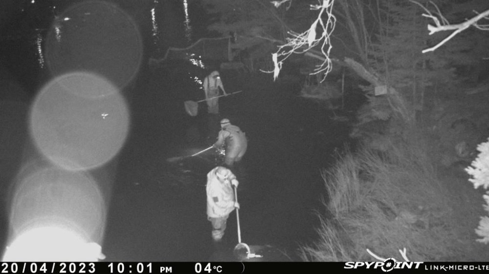 Photos capture contentious fishing of baby eels in Nova Scotia despite