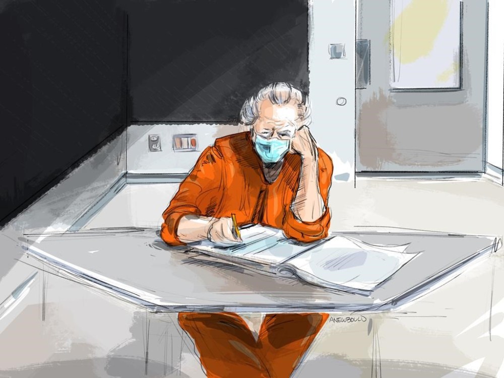 Former fashion mogul Peter Nygard is shown in this courtroom sketch in Toronto on Wednesday, Jan. 19, 2022. Nygard's lawyers are appealing a United States extradition order that would require the 81-year-old be sent south of the border once his Canadian court cases are settled. THE CANADIAN PRESS/Alexandra Newbould