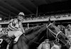 FILE - Jockey Ron Turcotte walks Secretariat towards the winners circle after they captured the Triple Crown by winning the Belmont Stakes before a crowd of 70,000 fans at Belmont Park in Elmont, N.Y., June 9, 1973. (AP Photo/File)