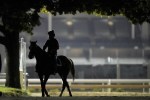 A horse comes off the track after an early-morning workout at Churchill Downs Thursday, May 4, 2023, in Louisville, Ky. The 149th running of the Kentucky Derby is scheduled for Saturday, May 6. (AP Photo/Charlie Riedel)
