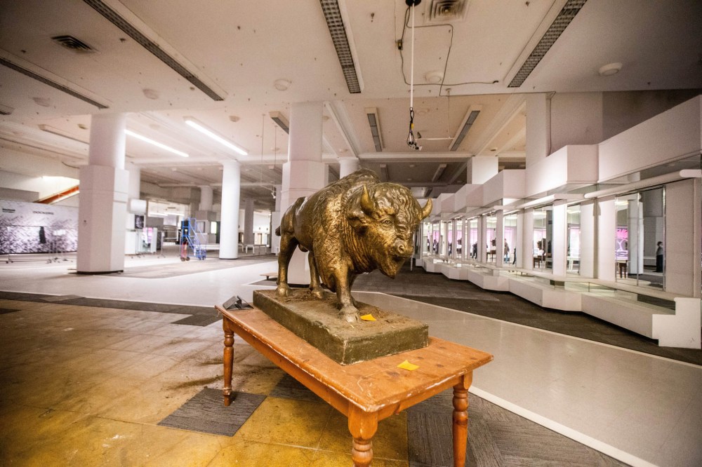 The bison statue on the main floor.