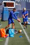 Mike Deal / Winnipeg Free Press
                                Karl Schmitz’s football odyssey continues as the 36-year-old tries to crack the Blue Bombers roster.