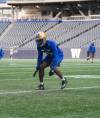 Supplied
                                Bombers head coach Mike O’Shea is impressed with defensive back Matt Cole’s athleticism and versatility.