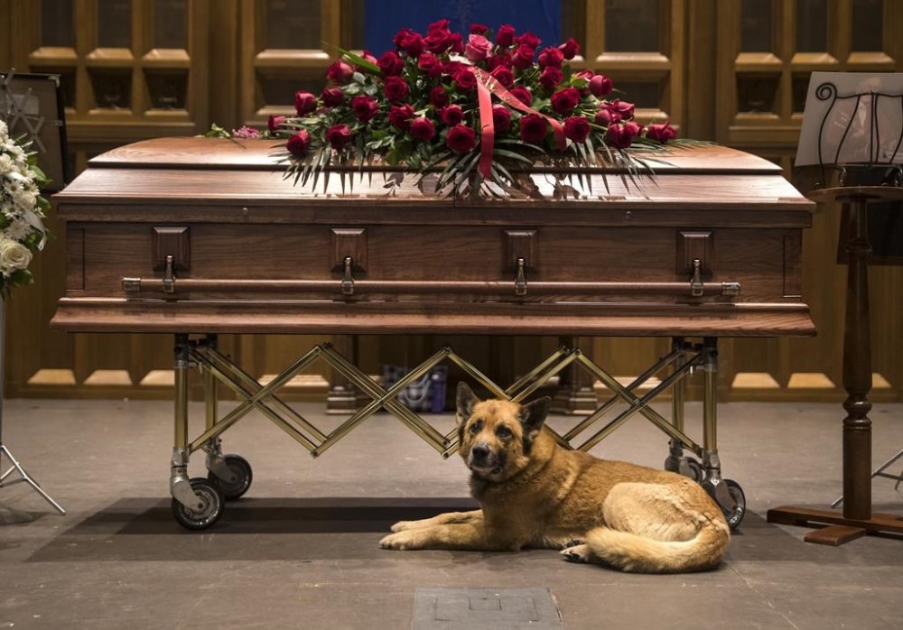 A dog named Taurus lies by the casket at the public visitation for singer-songwriter Gordon Lightfoot at St. Paul's United Church, in his hometown of Orillia, Ont., Sunday, May 7, 2023.THE CANADIAN PRESS/Fred Thornhill