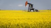 A pumpjack draws oil from the ground surrounded by a canola field near Cremona, Alta., on July 12, 2021. The agricultural industry is expressing concern that China will retaliate after Canada's expulsion of its diplomat by blocking agricultural shipments. China blocked canola shipments from two major Canadian companies in 2019 not long after Huawei executive Meng Wanzhou was arrested by Canadian authorities. The ban lasted for three years before being lifted in 2022. THE CANADIAN PRESS/Jeff McIntosh