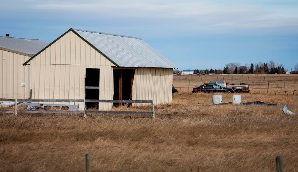 Bail hearing set for Alberta man accused of sexually assaulting five ...