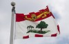 Prince Edward Island's provincial flag flies in Ottawa, Friday July 3, 2020. The intensive care unit at Prince County Hospital, Summerside, P.E.I., has been closed due to a shortage of internal medicine physicians. THE CANADIAN PRESS/Adrian Wyld