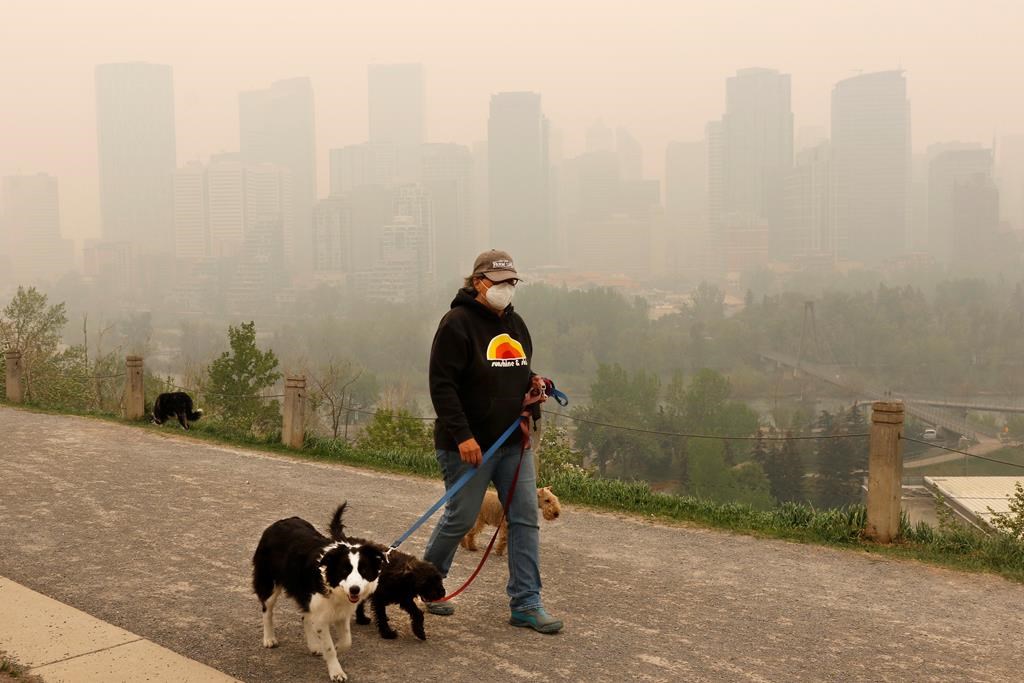 Still smelling wildfire smoke? Stay inside or wear a mask, experts say –  Winnipeg Free Press