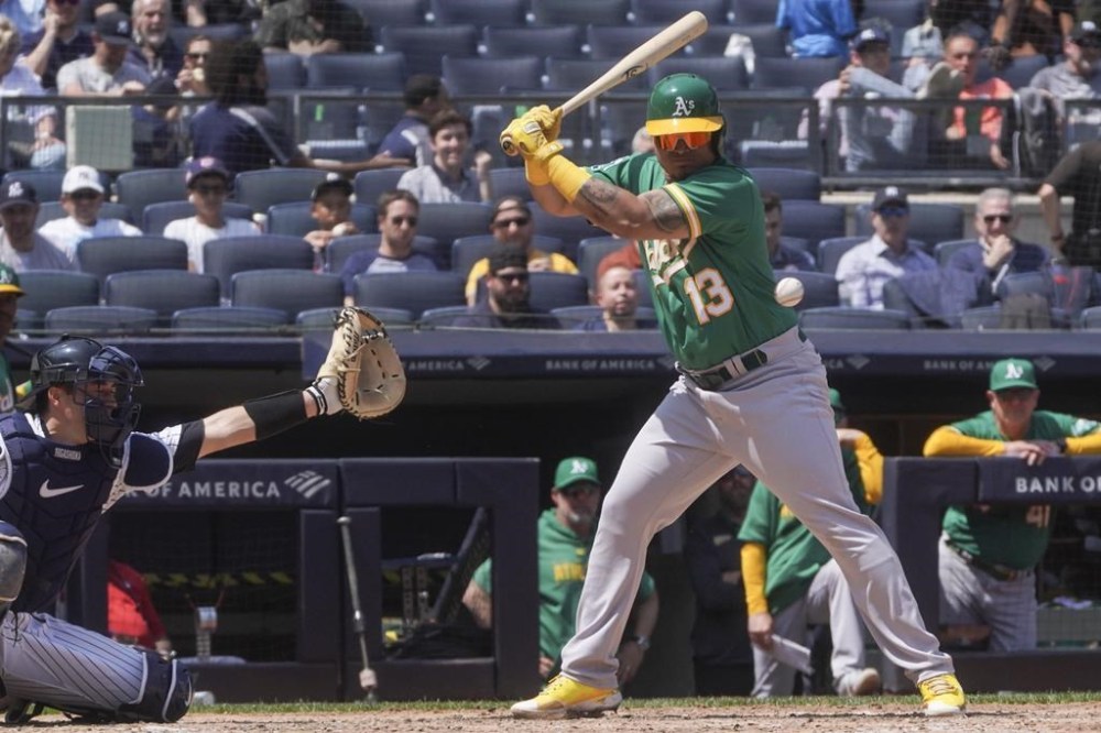 Oakland Athletics batter Jordan Diaz gets hit on a pitch in the sixth inning of a baseball game against the New York Yankees, Wednesday, May 10, 2023, in New York. (AP Photo/Bebeto Matthews)