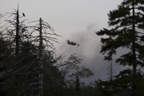 A water bomber plane flies through heavy smoke as an out-of-control wildfire in a suburban community outside of Halifax quickly spread, engulfing multiple homes and forcing the evacuation of local residents on Sunday, May 28, 2023. The wildfire that has destroyed dozens of homes in suburban Halifax could have been caused by a combination of factors, including a string of dry days, lack of rain and debris left behind by post-tropical storm Fiona last year, say experts. THE CANADIAN PRESS/Darren Calabrese