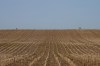 Farmland is seen in the Duffins Rouge Agricultural Preserve on Monday, May 15, 2023. Ontario has backed off a housing proposal that farmers say would have had a 