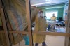Nurses close the curtains of a patients room in the Intensive Care Unit at Surrey Memorial Hospital in Surrey, B.C., Friday, June 4, 2021. A series of letters from doctors across multiple disciplines sharply critical of the management of patient care at a Metro Vancouver hospital has placed British Columbia's largest health authority under intense scrutiny. THE CANADIAN PRESS/Jonathan Hayward