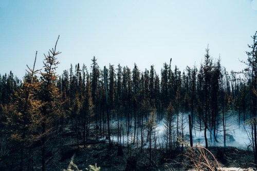 Smoke rises from burning trees near Chapais, in Northern Quebec, on Friday, June 2, 2023, in this image provided by the fire prevention agency known as SOPFEU. Quebec's massive forest fires have forced many of the province's wilderness outfitters, still recovering from travel restrictions during the COVID-19 pandemic, to shut down. THE CANADIAN PRESS/HO-SOPFEU Prevention and Communications-Audrey Marcoux
**MANDATORY CREDIT **