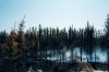 Smoke rises from burning trees near Chapais, in Northern Quebec, on Friday June 2, 2023 in this image provided by the fire prevention agency known as SOPFEU. THE CANADIAN PRESS/HO-SOPFEU Prevention and Communications-Audrey Marcoux
**MANDATORY CREDIT **