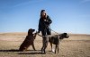 JESSICA LEE / WINNIPEG FREE PRESS

Carla Martin and her daughter’s dogs Louie (brown coat) and Georgia (dark brown coat) are photographed May 2, 2023 near their Bridgwater home. Martin was walking Louie and Georgia Monday morning near Kenaston Boulevard when they were surprised by three coyotes.

Reporter: Chris Kitching