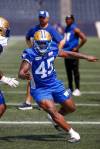 Mike Deal / Winnipeg Free Press
                                Celestin Haba made a key play when he sacked Hamilton QB Bo Levi Mitchell late in the Bombers’ season opening victory over the Ticats.