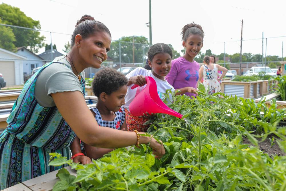 RUTH BONNEVILLE / WINNIPEG FREE PRESS
Teberh Zeru immigrated from Eritrea with her children Delina (10), Deborah (9) and Zion (7). The family worked on their plot at the Green Haven Community Garden Friday.