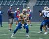 Mike Thiessen / Winnipeg Free Press
                                Winnipeg Blue Bombers quarterback Zach Collaros was sacked seven times in a 30-6 loss to the B.C. Lions last Friday.