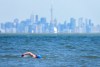 A man swims in the frigid waters of Lake Ontario overlooking The City of Toronto’s skyline in Mississauga, Ont., on Sunday, April 2, 2023. Canada's most populous city continues to endure hazy skies and poor air quality as smoke from wildfires throughout Ontario and Quebec blanket the city. THE CANADIAN PRESS/Nathan Denette