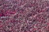 Wydad's fans cheer ahead the CAF Champions League final soccer match between Morocco's Wydad Athletic Club and Egypt's Al Ahly SC, at the Mohammed V stadium, in Casablanca, Morocco, Sunday, June 11, 2023. (AP Photo/Mosa'ab Elshamy)