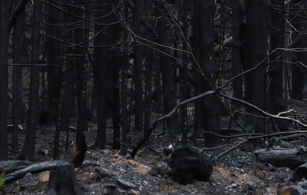 All wildfires in Nova Scotia under control more than two weeks after ...