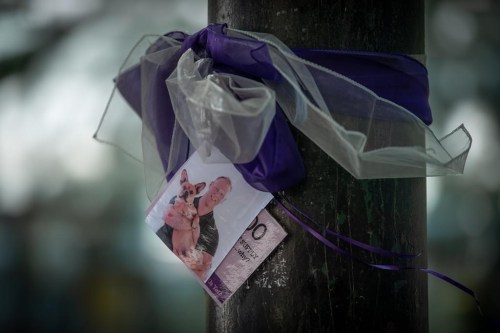 A photograph of a person who died due to an illicit drug overdose is tied to a tree with a purple ribbon by members of Moms Stop the Harm, in Vancouver, on Tuesday, August 16, 2022. THE CANADIAN PRESS/Darryl Dyck