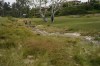 Patrick Rodgers crosses the barranca on the seventh hole during a practice round for the U.S. Open Championship golf tournament at The Los Angeles Country Club on Wednesday, June 14, 2023, in Los Angeles. (AP Photo/Matt York)