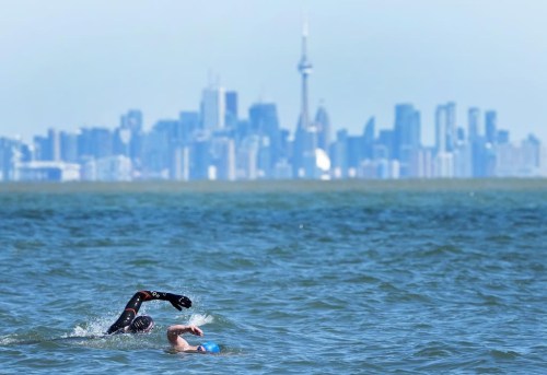 People swim in the frigid waters of Lake Ontario overlooking The City of Toronto’s skyline in Mississauga, Ont., Sunday, April 2, 2023. THE CANADIAN PRESS/Nathan Denette