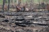 The Alberta government has approved a $175-million recovery program for municipalities and Metis settlements affected by wildfires. A burned car lies in a wooded area where recent wildfires damaged the land, in Drayton Valley, Alta. on Wednesday, May 17, 2023. THE CANADIAN PRESS/Jason Franson