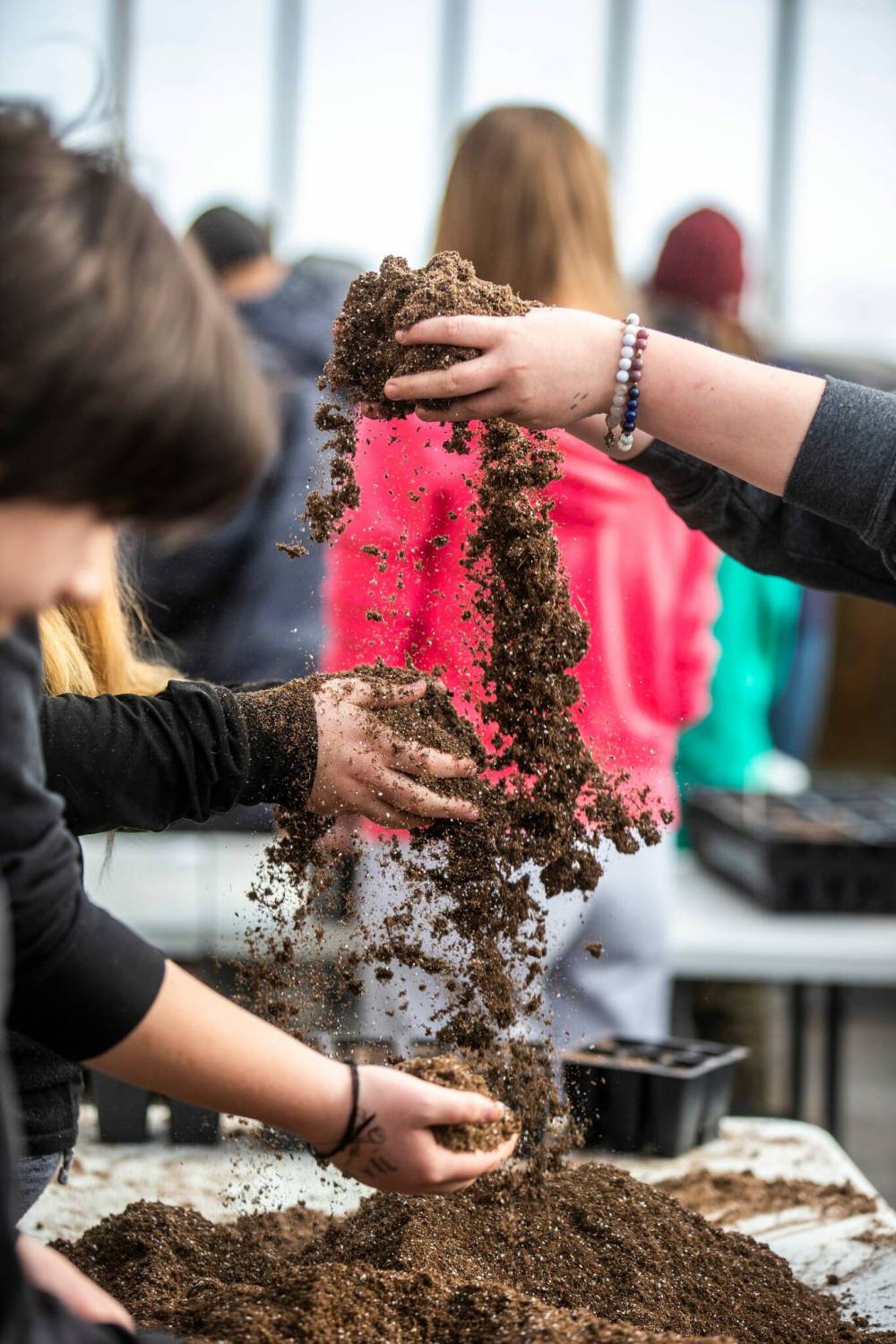 MIKAELA MACKENZIE / WINNIPEG FREE PRESS FILES
Undertaking a school waste audit, harvesting rainwater, and organizing a community clean-up are all listed as “take-action” projects in the guide.