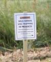 Mike Thiessen / Winnipeg Free Press
                                A wildlife trapper and Manitoba Conservation continued to try to capture at least one coyote Monday, after two children were attacked in less than a week in a north Winnipeg neighbourhood.