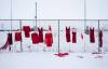 JESSICA LEE / WINNIPEG FREE PRESS
                                Red dresses hang at Brady Road landfill where the remains of Rebecca Contois were found.