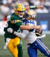 John Woods / THE CANADIAN PRESS
                                Brandon Alexander gets ahold of Edmonton Elks QB Taylor Cornelius Thursday night at IG Field.