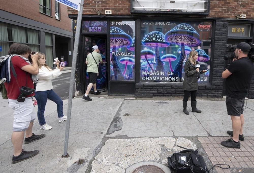 Media gather at the opening of the Fun Guyz magic mushroom store, in Montreal, Tuesday, July 11, 2023. The shop specializes in psychedelic mushrooms, which are illegal in Quebec. THE CANADIAN PRESS/Ryan Remiorz