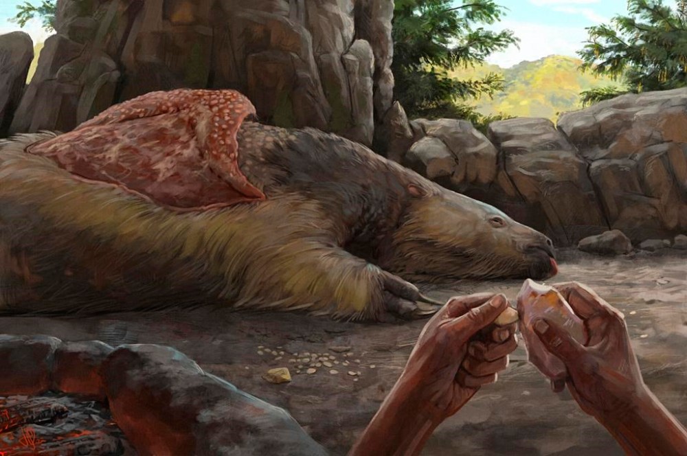 This illustration provided by researchers depicts a person carving an osteoderm from a giant sloth in Brazil about 25,000 to 27,000 years ago. Research published Wednesday, July 12, 2023, in Britain's Proceedings of the Royal Society B journal, suggests humans lived in South America at the same time as now-extinct giant sloths, bolstering evidence that people arrived in the Americas earlier than once thought. (Júlia d'Oliveira via AP)