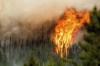 Flames from the Donnie Creek wildfire burn along a ridge top north of Fort St. John, British Columbia, Sunday, July 2, 2023. THE CANADIAN PRESS/AP, Noah Berger