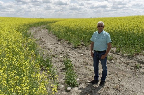 Ryan Maurer, co-owner of Land and Sky Grains, stands on a 70-year-old drainage ditch that runs through his canola field near Grenfell, Sask., on Friday, July 7, 2023. Spring run-off and rain travel via ditches through numerous cultivated fields and eventually into Three Mile Creek. THE CANADIAN PRESS/Michael Bell