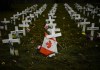 A new series published in the BMJ medical journal is calling for an independent inquiry into Canada's COVID-19 response. Crosses are displayed in memory of the elderly who died from COVID-19 at the Camilla Care Community facility during the COVID-19 pandemic in Mississauga, Ont., Thursday, Nov. 19, 2020. THE CANADIAN PRESS/Nathan Denette