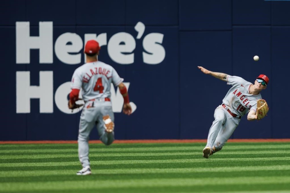 Los Angeles Angels right fielder Mickey Moniak (16) catches a fly out from Toronto Blue Jays third baseman Matt Chapman, not shown, during the third inning of MLB baseball action in Toronto, Sunday July 30, 2023. THE CANADIAN PRESS/Cole Burston