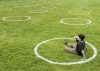 Starting today, Toronto residents are allowed to consume alcohol in some parks, as the city kicks off a time-limited pilot project. A man sips his beer in Trinity Bellwoods Park, in Toronto, Thursday, May 28, 2020. THE CANADIAN PRESS/Nathan Denette