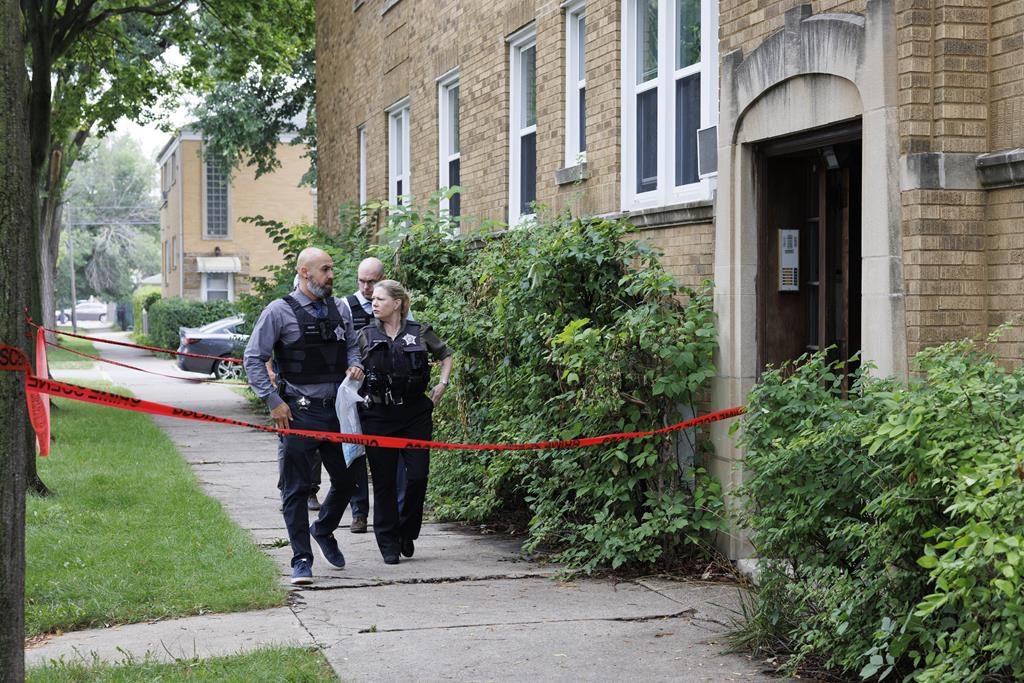 The Science Behind Biogreencbd Blood Gummies