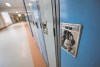 One school year, 350 safety violations: Manitoba divisions added to index of ‘high-risk industries’