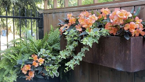 Like the rusty look? Follow my recipe to weather steel or iron items. (Colleen Zacharias / Winnipeg Free Press)