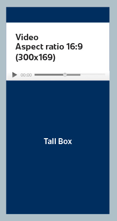 Free Press in-stream video tall box ad specifications.