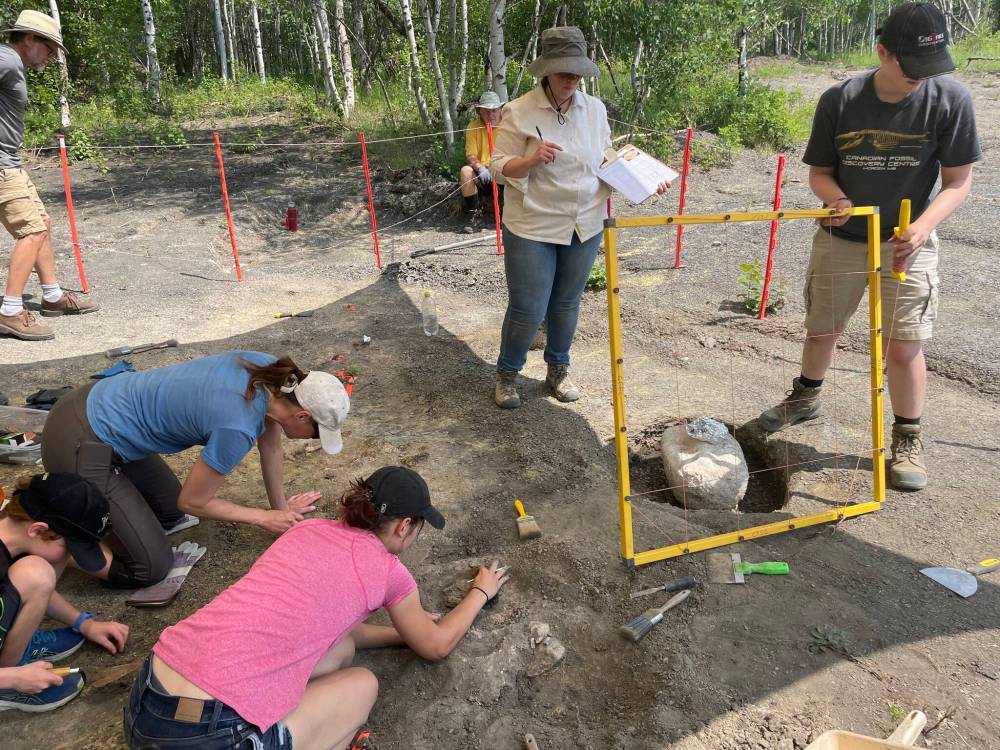 SUPPLIED
At the small community of Miami, near Morden, a discovery was recently made of a nearly complete mosasaur skeleton. Pictured Kirstin Brink, with clipboard, palaeontologist at the University of Manitoba, supervising the new mosasaur excavation.